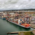 TNPA requests proposals for citrus handling terminal at Port of Durban