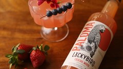 Luckybird launches 'Make Your Luck' competition for entrepreneurs