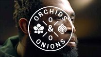 #OrchidsandOnions: Springboks prove we are indeed Stronger Together