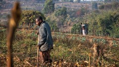 AfDB supports Tanzania's horticultural sector with $2.5m grant