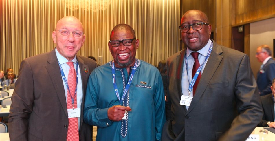 The 'Southern Africa Europe CEO Dialogue' celebrating 10 years of success