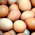 Navigating the egg shortage with a data-driven approach