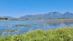 Sand mining company appeals against refusal of water licence in Philippi