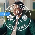 #OrchidsandOnions: Trevor Noah tourism ad captures the essence of SA