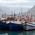 Western Cape small-scale fishers finally get their rights