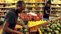 Zimbabwe horticulture sees green shoots, targets $1bn exports