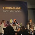 #AAII23: Discussing the importance of investing in women-led agribusinesses