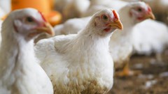 Source: wirestock via