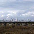 File photo: The Nairobi skyline is seen in the background as zebras walk through the Nairobi National Park, near Nairobi, Kenya, 3 December 2018. Reuters/Amir Cohen/File Photo