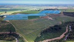 Source: Supplied. Blue Mountain Berries, a profitable and fully operational berry and avocado farm just outside of George that is being sold via sealed bid after being placed in business rescue.