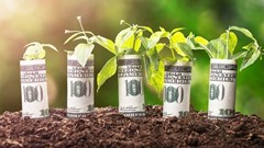 Image source: andreypopov –