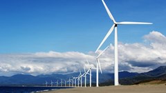 Image source: Kervin Edward Lara from