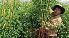 How agriculture can make the most of one of the world’s biggest carbon sink, soil