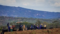 Now's the time to put land reform beneficiaries in order