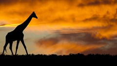 Source: © 123rf  The 2024 Southern African Development Community (SADC) Media Awards are open for entries