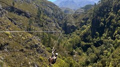 Image by Aa-isha Hassiem