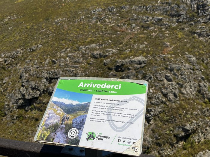 Soar to new heights with the Cape Canopy Tour