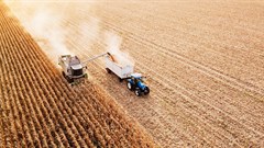 30 years into democracy: How has South Africa's agricultural sector performed?