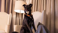 Kei was shot by an intruder. Source: Supplied.