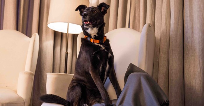 Kei was shot by an intruder. Source: Supplied.