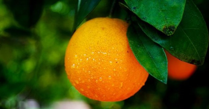 Source: tarkovskybilly via