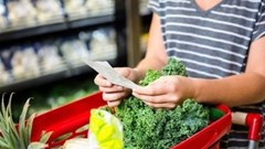 FAO reports decline in global food prices led by wheat and maize