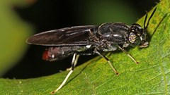 From beer waste to pet food: Maltento's innovative approach to recycling