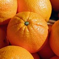 New shipping service to increase capacity and competition in citrus export market