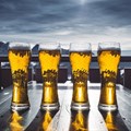 How the beer industry is shaping South Africa's economic future