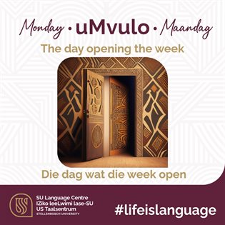 Our mother languages: What&#x2019;s in it for us?