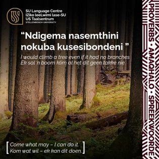 Our mother languages: What&#x2019;s in it for us?