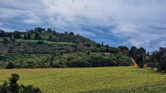 Land reform: Overcoming challenges and creating opportunities for rural economies