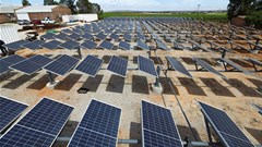 A view shows solar panels at the green hydrogen proof-of-concept site in Vredendal. Source: Reuters/Esa Alexander