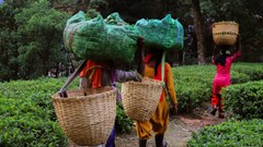 Image source: Henlynn from