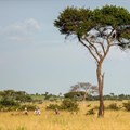 Wagora MTB Ride: Singita, Grumeti Fund event to raise funds for anti-poaching in the Serengeti