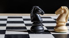 Image source: Roman Peleshko –