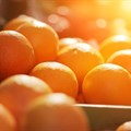 South African oranges gain access to Vietnamese market