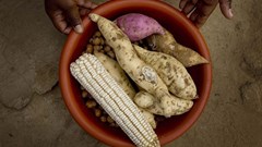 UK invests $100m to enhance Africa's food security and trade
