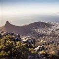 Wesgro unveils With Love from the Locals to boost domestic tourism in the WCape