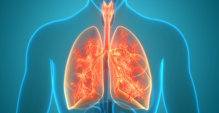 Source: Supplied. Amsterdam Institute for Global Health & Development.