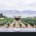 Blend and bond: South Africa Wine Summit set to explore untapped global market potential