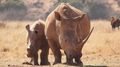 Image source: Nicole Kruger from