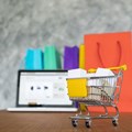 E-commerce surge spells opportunity for SA's SME transporters