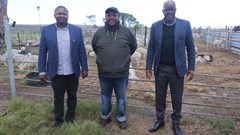 Eastern Cape launches support programme, boosting emerging mohair farmers