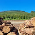 Source: Supplied - Forestry South Africa