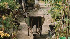 Source: Spier Wine Farm