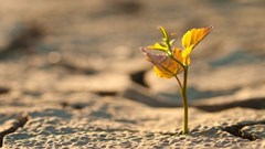 4 crucial steps to strengthen climate resilience against El Niño and La Niña