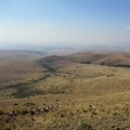 Mabola Protected Area in the Mpumalanga grasslands is under threat of coal mining. Archive photo: supplied