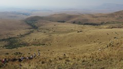 Mabola Protected Area in the Mpumalanga grasslands is under threat of coal mining. Archive photo: supplied