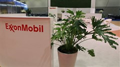 Plants are displayed at the booth of American multinational oil and gas corporation ExxonMobil during the LNG 2023 energy trade show in Vancouver. Source: Reuters/Chris Helgren